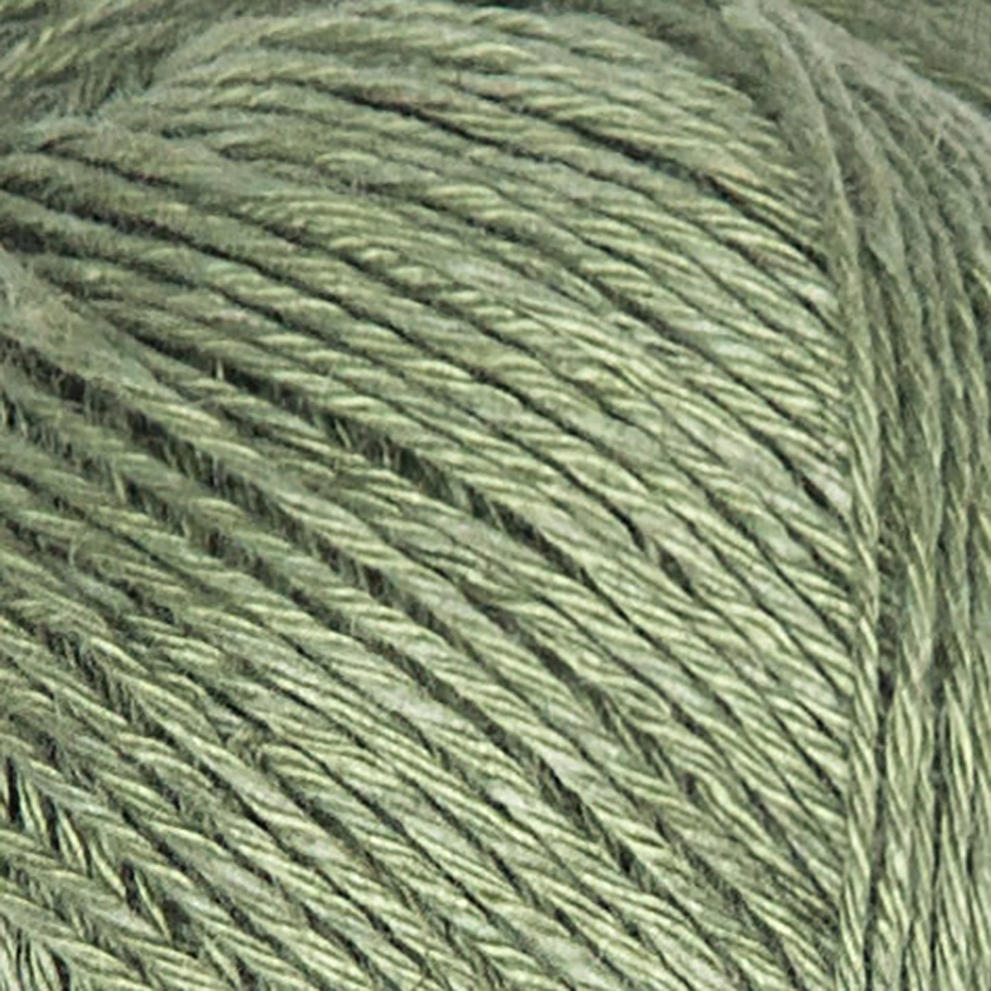 INTENSE LINEN - Fil Lin & Viscose
